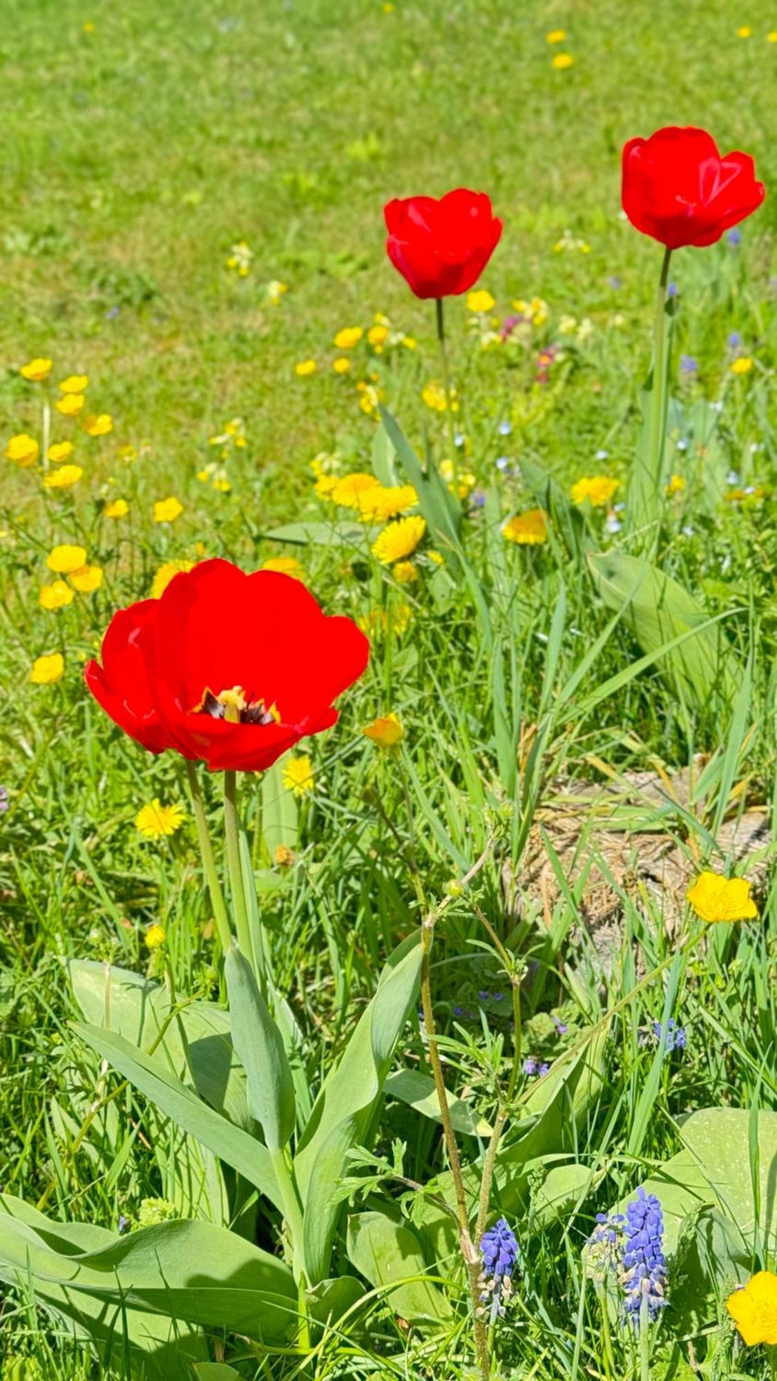 Apartment Balingen City מראה חיצוני תמונה